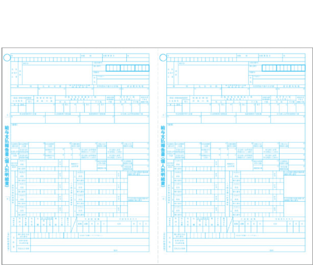 【予約商品】6109-A24対応 給与支払報告書(源泉徴収票無し) 100名分 BH6109ｰG24K